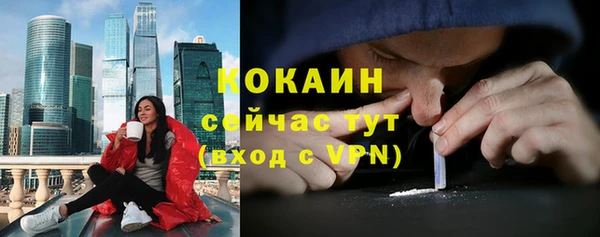 не бодяженный Алексин